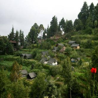 Camp At Mukteshwar, Nainital 5